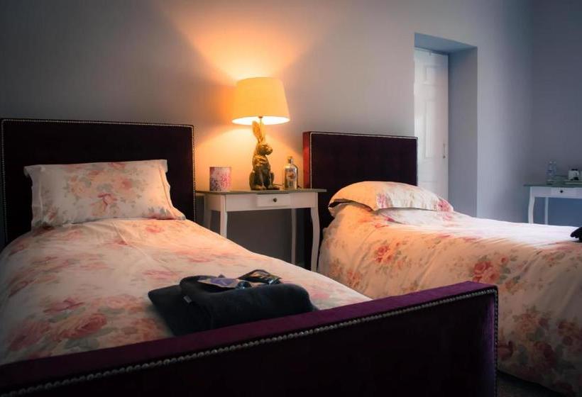 Bed and Breakfast The Old Down Inn