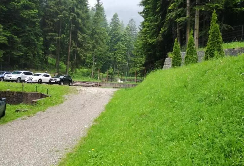 Hotel Hostel Cppi Nord