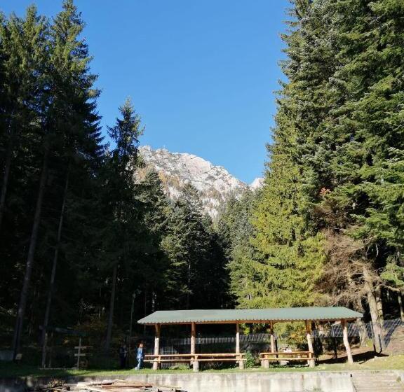 Hôtel Hostel Cppi Nord