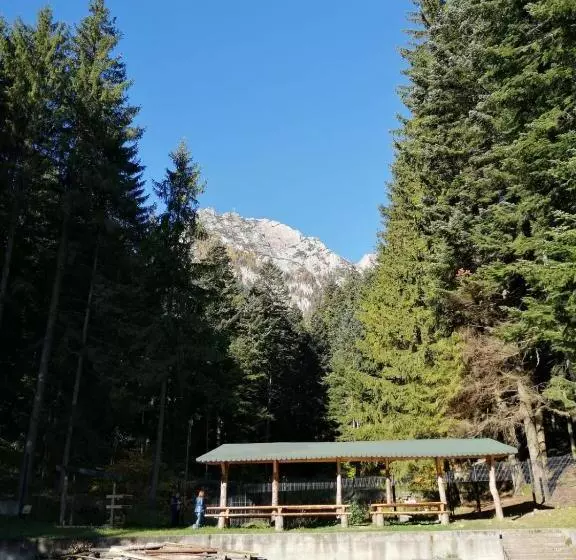 Hotel Hostel Cppi Nord