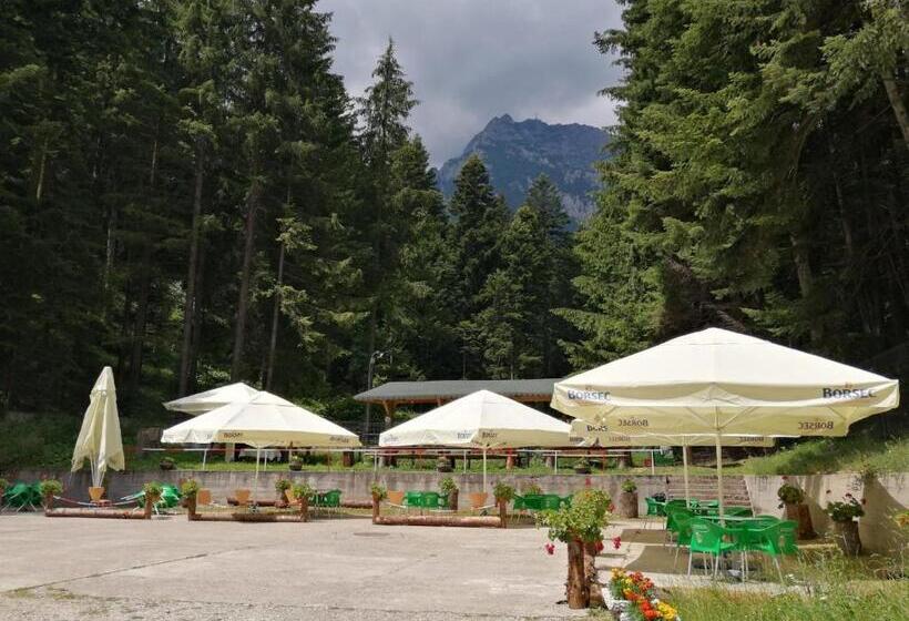 Hôtel Hostel Cppi Nord