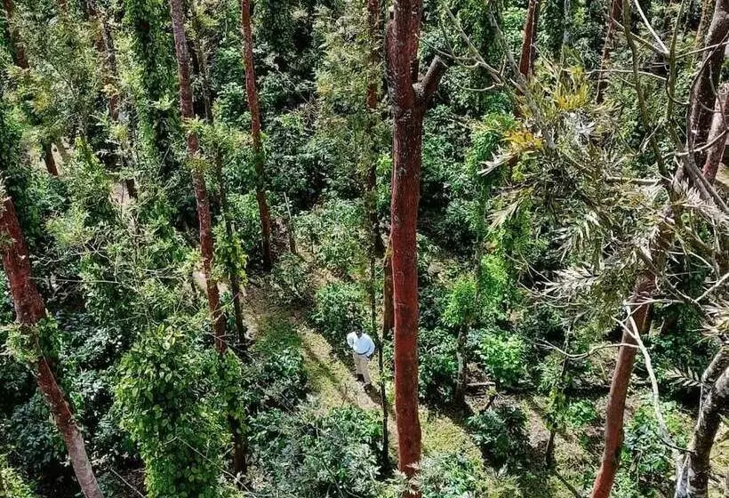 Nexstay Coffee Grove Resort