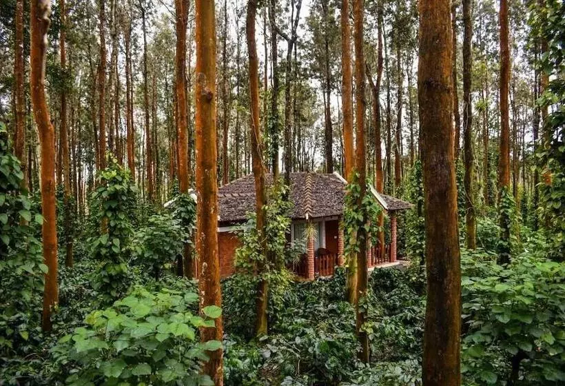 Nexstay Coffee Grove Resort