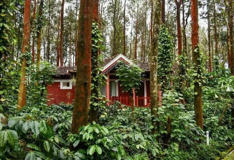 Nexstay Coffee Grove Resort