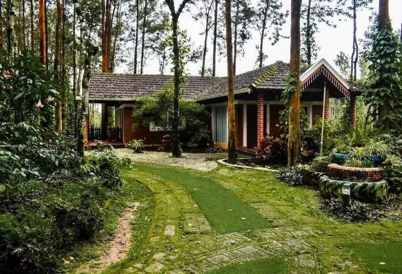 Nexstay Coffee Grove Resort
