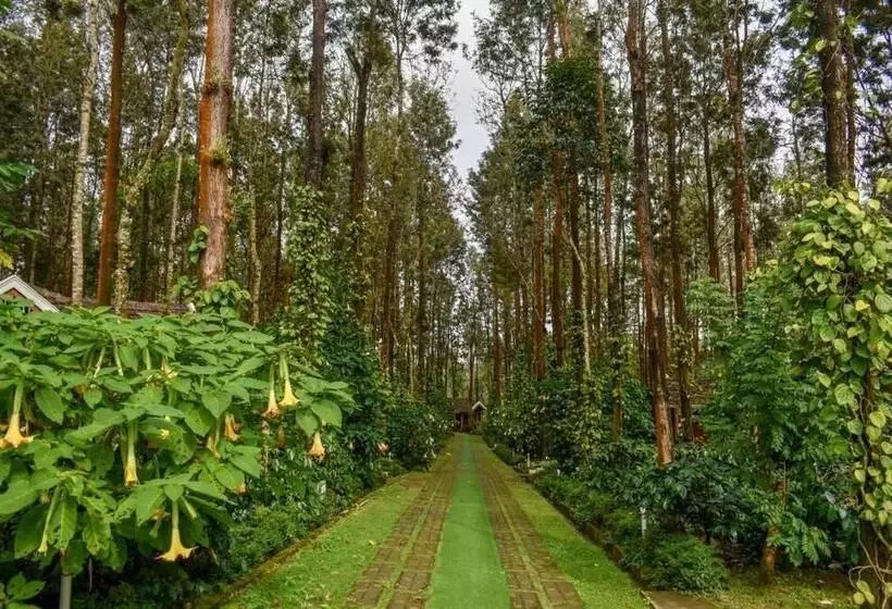 Nexstay Coffee Grove Resort