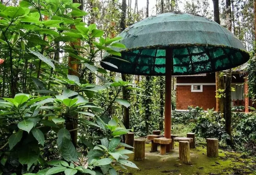 Nexstay Coffee Grove Resort