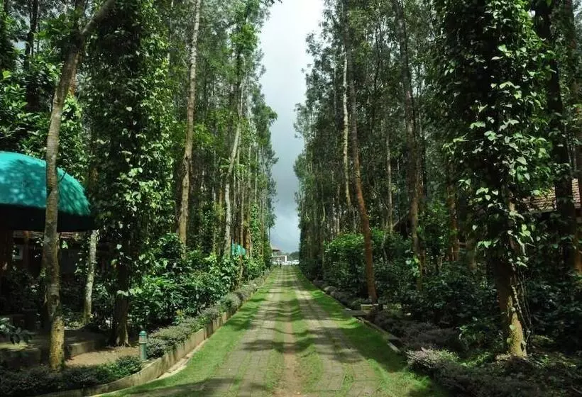 Nexstay Coffee Grove Resort