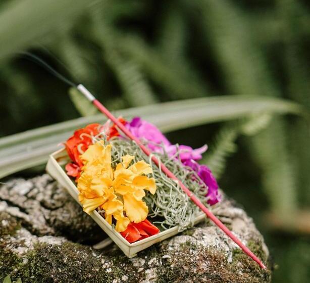 渡假胜地 Song Broek Bali