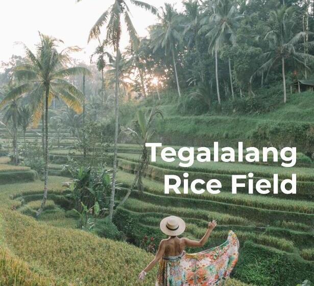 渡假胜地 Song Broek Bali