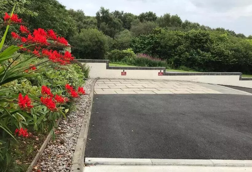 The Roses B&b