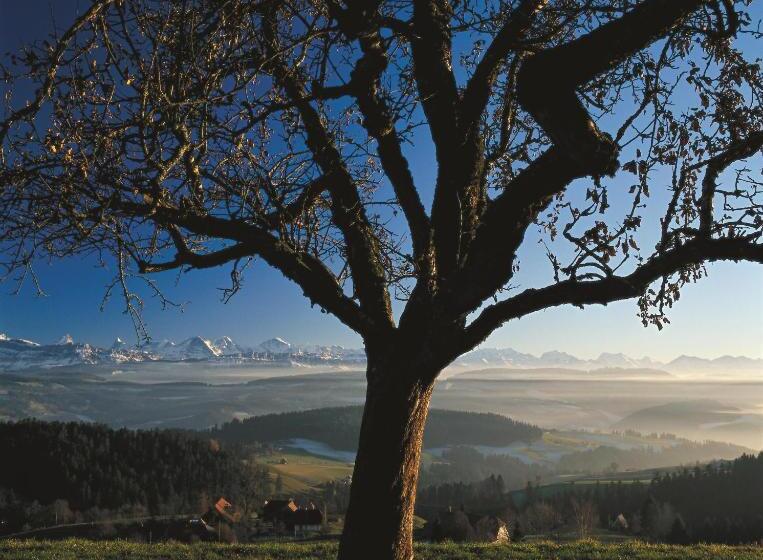 Bed and Breakfast Bnb Schlafschloss