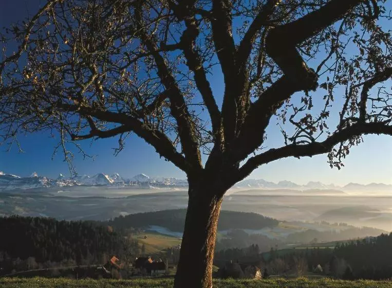 Aamiaismajoitus (B&B) Bnb Schlafschloss