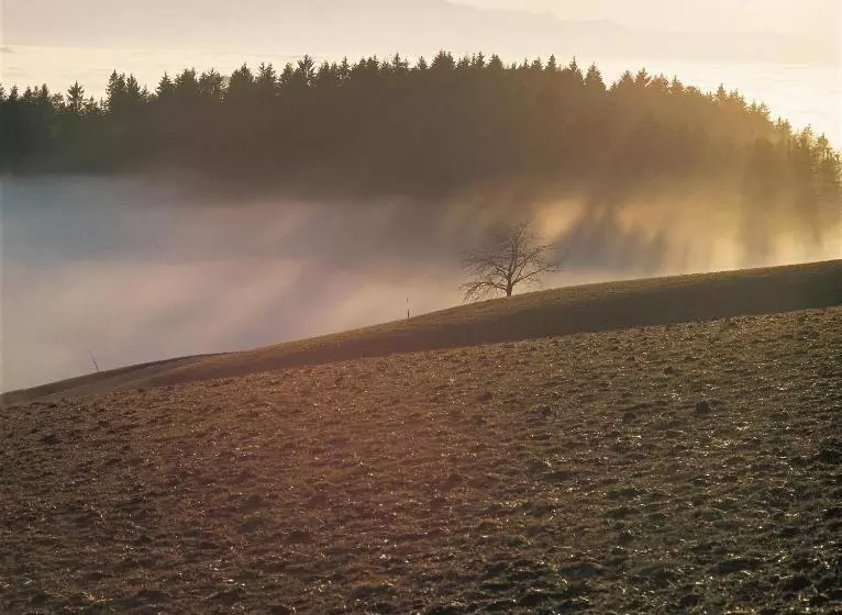 Aamiaismajoitus (B&B) Bnb Schlafschloss