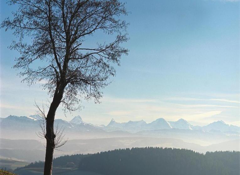 Bed and Breakfast Bnb Schlafschloss