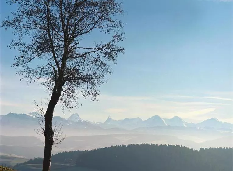 Aamiaismajoitus (B&B) Bnb Schlafschloss