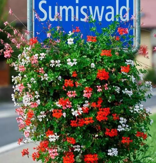 Aamiaismajoitus (B&B) Bnb Schlafschloss