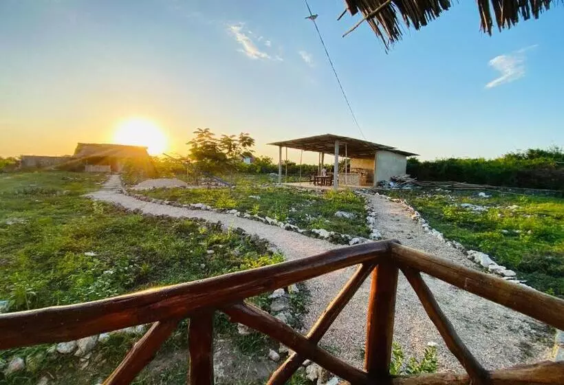 تختخواب و صبحانه Habibis Bottle House