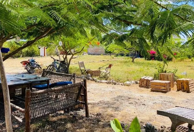 تختخواب و صبحانه Habibis Bottle House