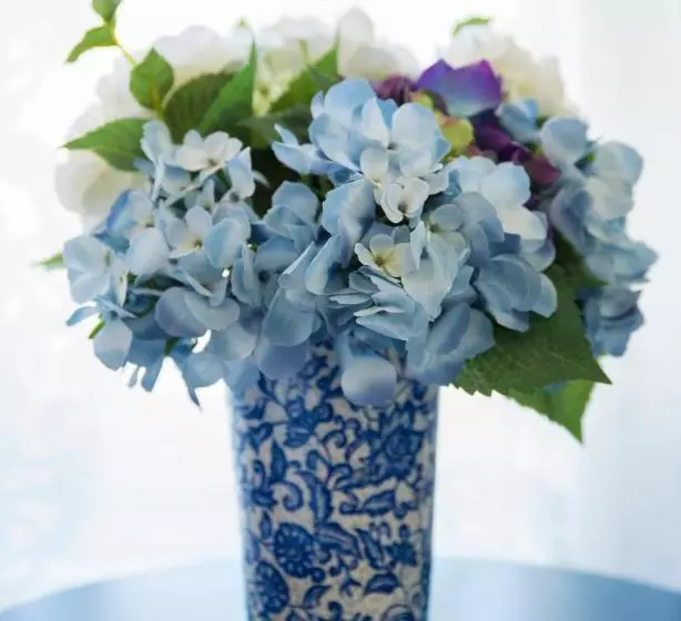 Aamiaismajoitus (B&B) Willow S Green