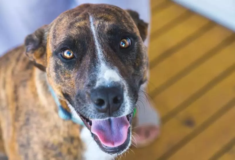 Aamiaismajoitus (B&B) Willow S Green