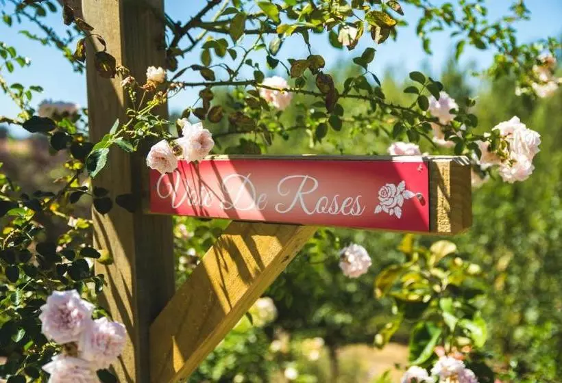 Aamiaismajoitus (B&B) Willow S Green