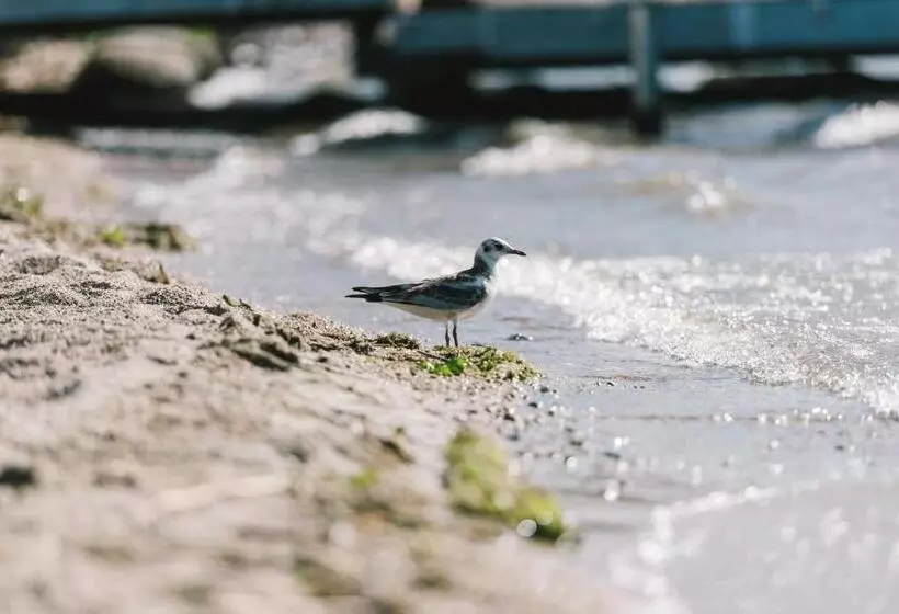 هتل Insel Der Sinne