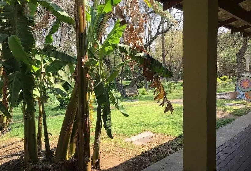 هتل Kondwane Boutique Guest House