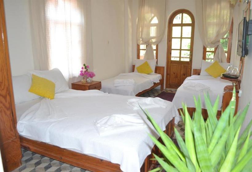 Bed and Breakfast Ta  Konak