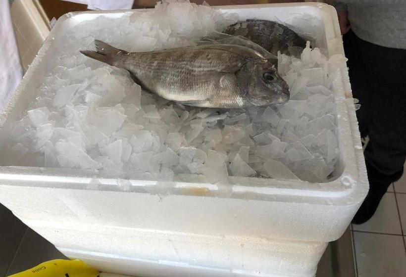 فندق Les Ambassadeurs