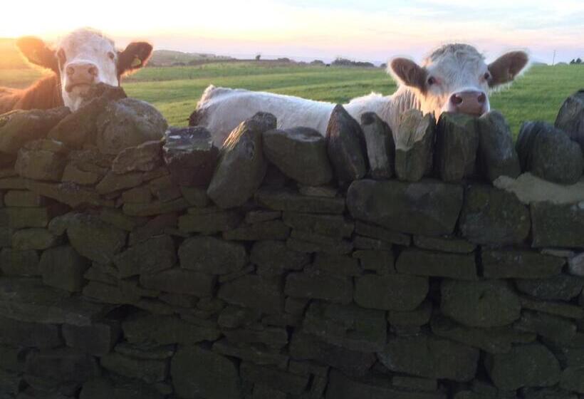 مبيت وإفطار Bonners Lodge