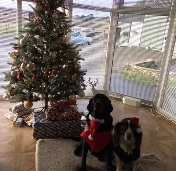 Aamiaismajoitus (B&B) Bonners Lodge