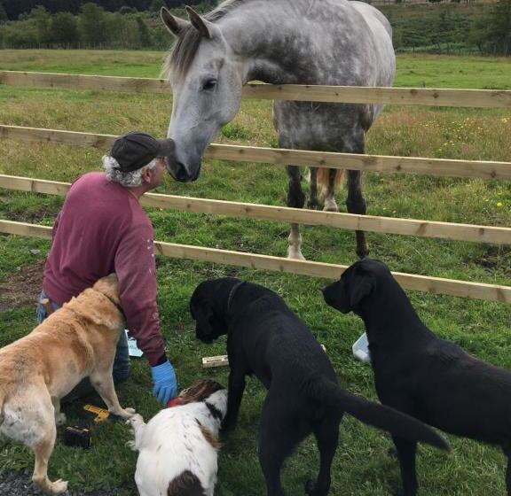 مبيت وإفطار Bonners Lodge