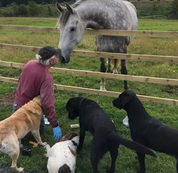 Aamiaismajoitus (B&B) Bonners Lodge