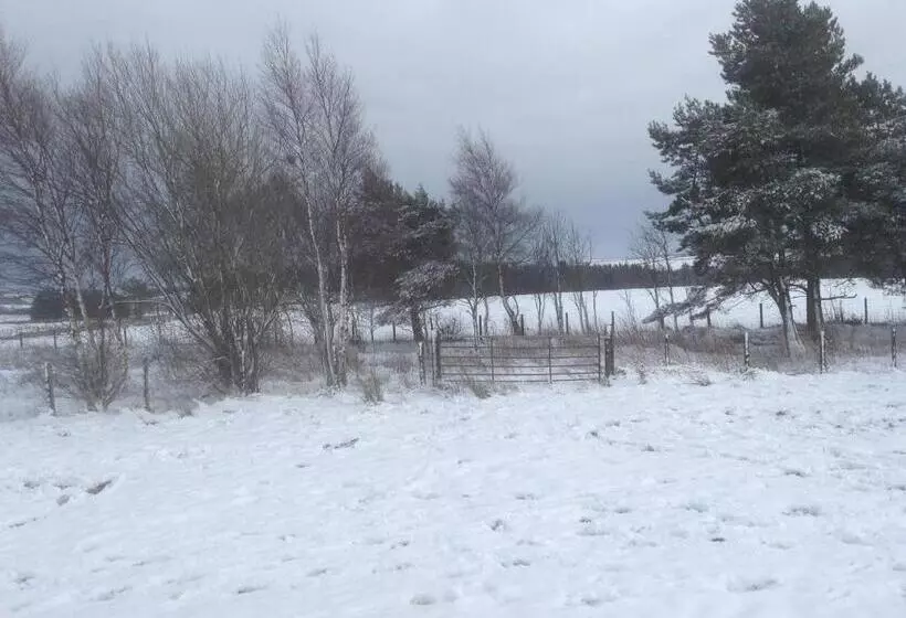 Aamiaismajoitus (B&B) Bonners Lodge