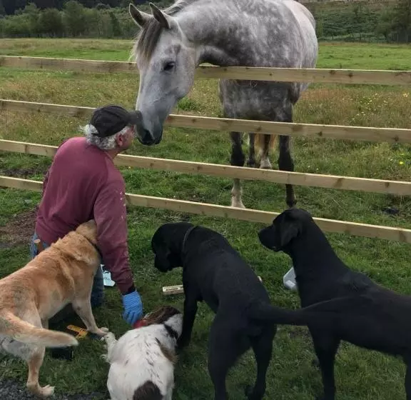 Aamiaismajoitus (B&B) Bonners Lodge