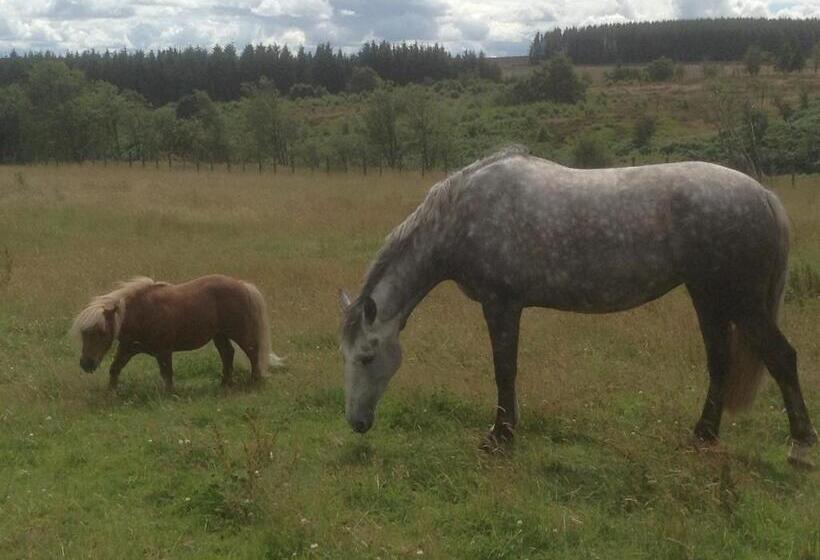مبيت وإفطار Bonners Lodge