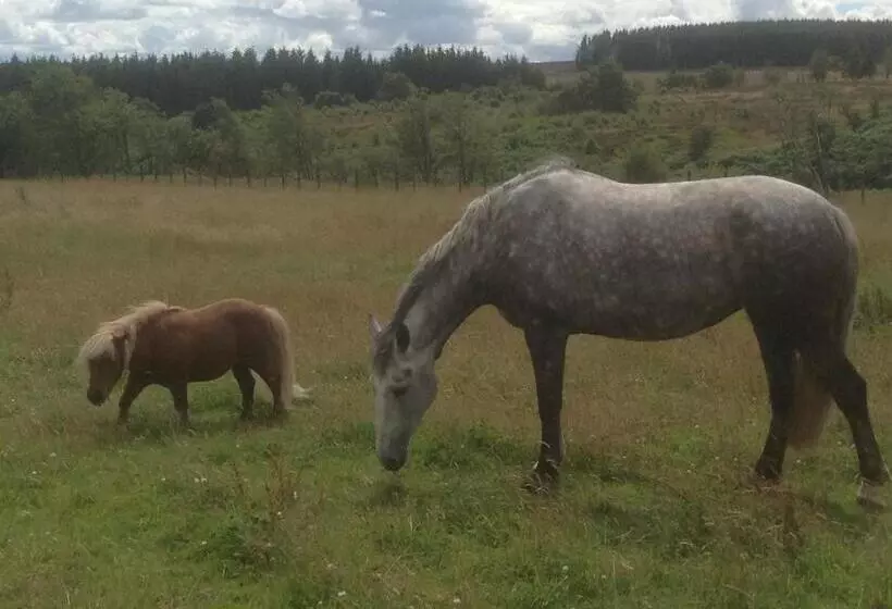Aamiaismajoitus (B&B) Bonners Lodge