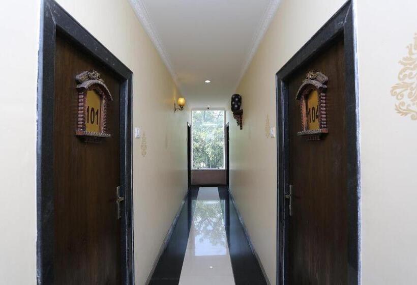 Hotel Collection O Paradise