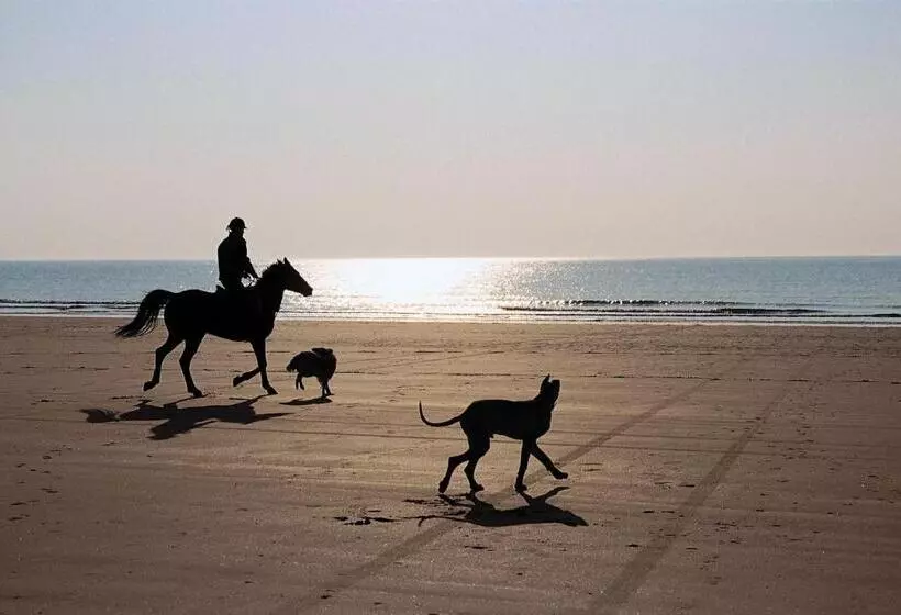 Hotelli Chalets Middelburg