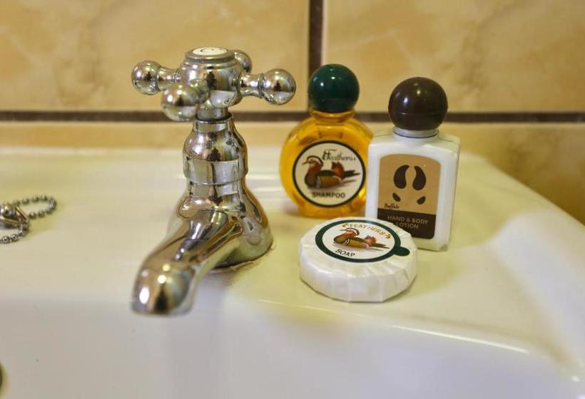 هتل Stoney S Country