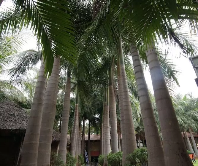 ホテル Hampi International