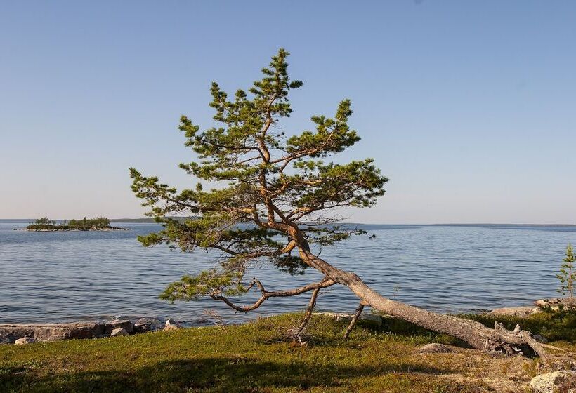 Wilderness Hotel Inari & Igloos