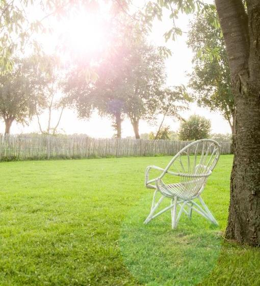 Bed & Breakfast Bed In Brabant Veghel