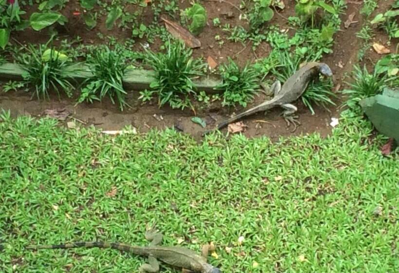 هتل Hospedaje Angeluz