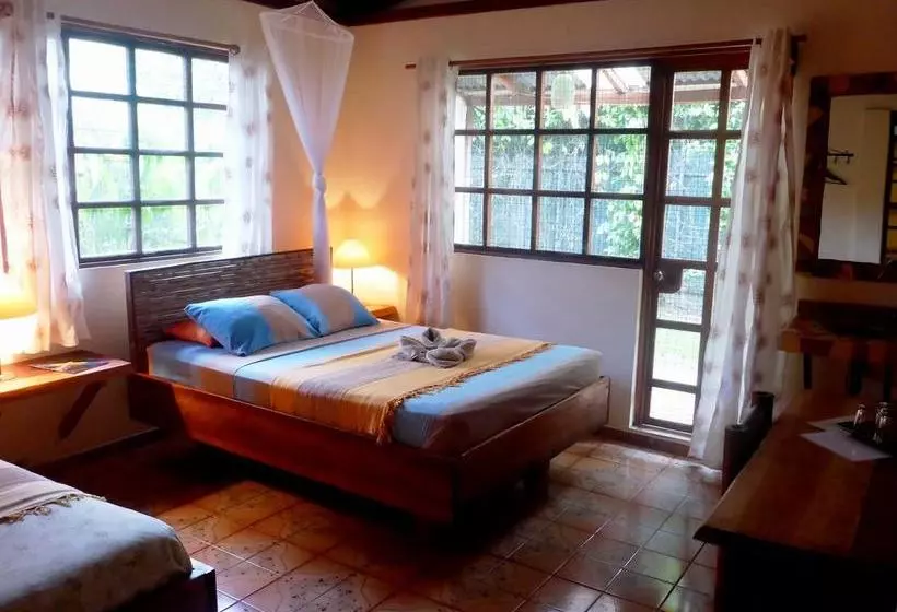 Hotelli Pura Vida