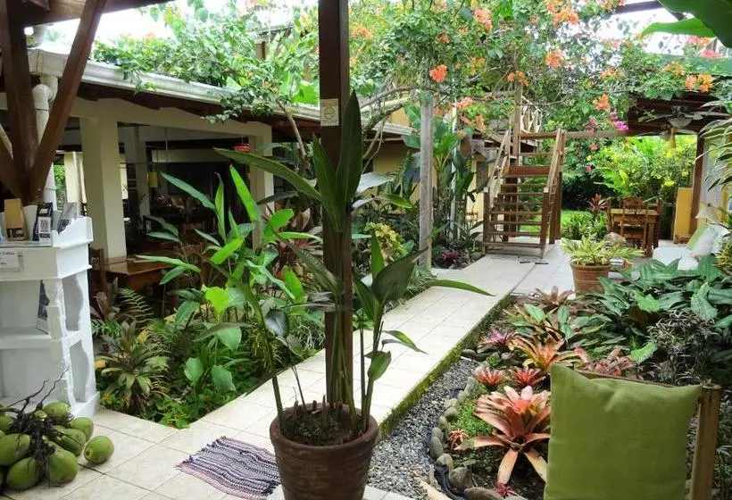 Hotelli Pura Vida