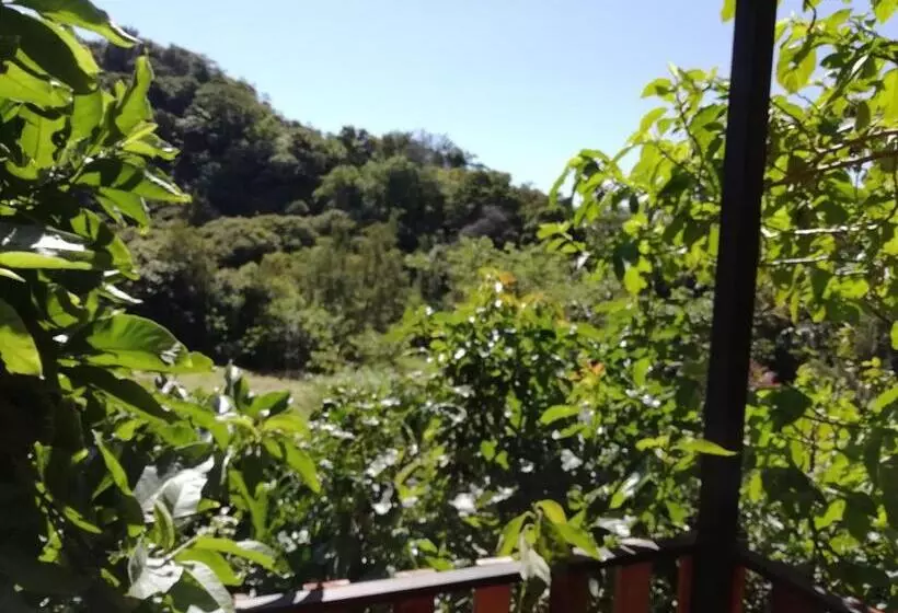 تختخواب و صبحانه La Guayaba Monteverde
