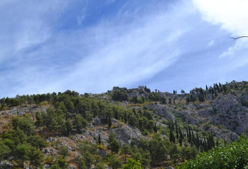 تختخواب و صبحانه Pansion Nerry