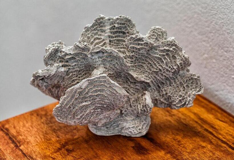 فندق Castelo Pink Boutique